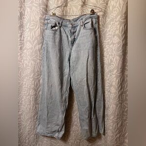 American Eagle Outfitters Light Blue Denim Pants